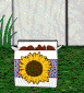 [Sunflower Seeds]
